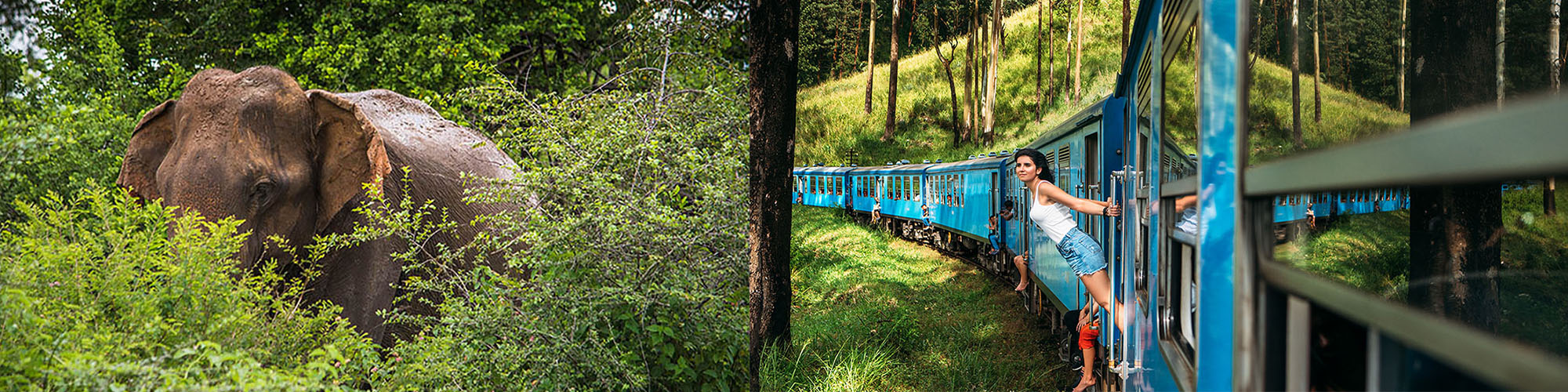 Wide Sri Lankan tourism photo